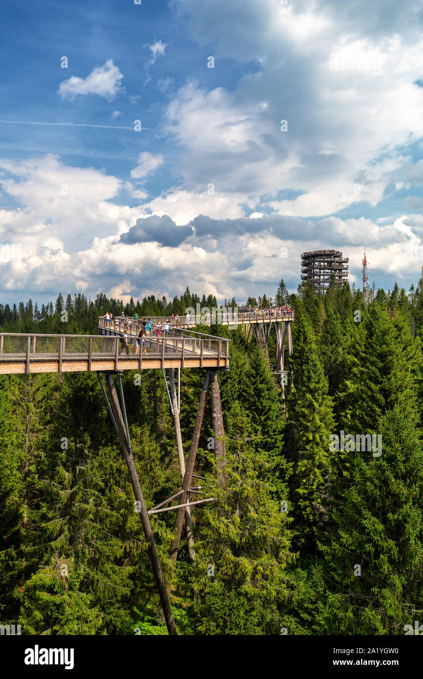 Bachledova dolina treetop walk, Slovakia, Europe Stock Photo