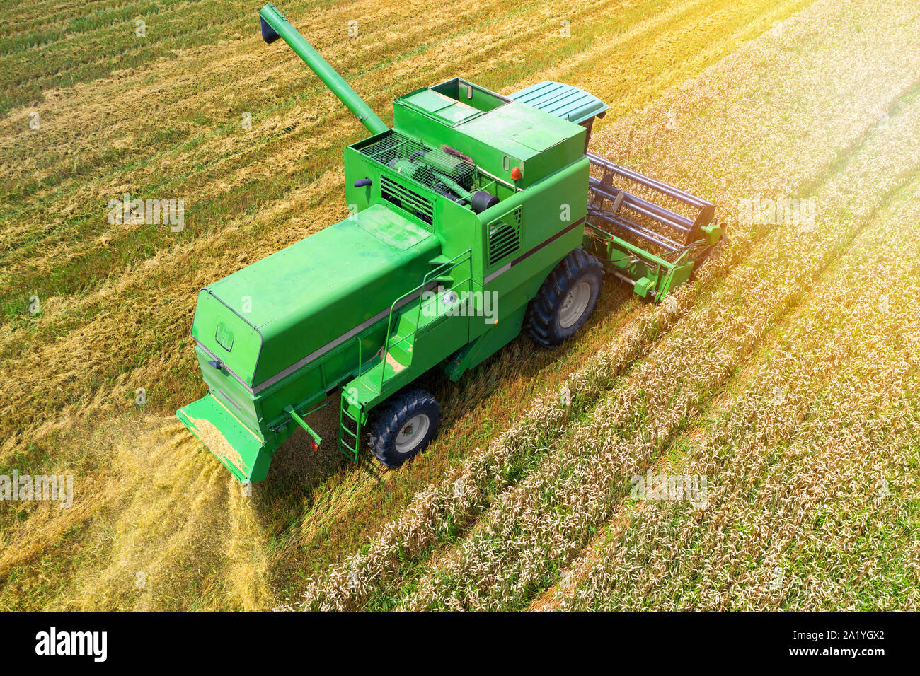 Aerial view on the combine working on the large wheat field Stock Photo