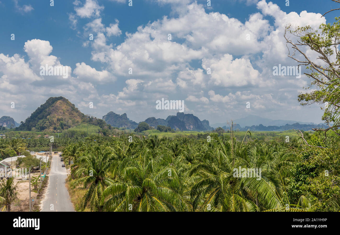 Thailand rice field karst hi-res stock photography and images - Alamy
