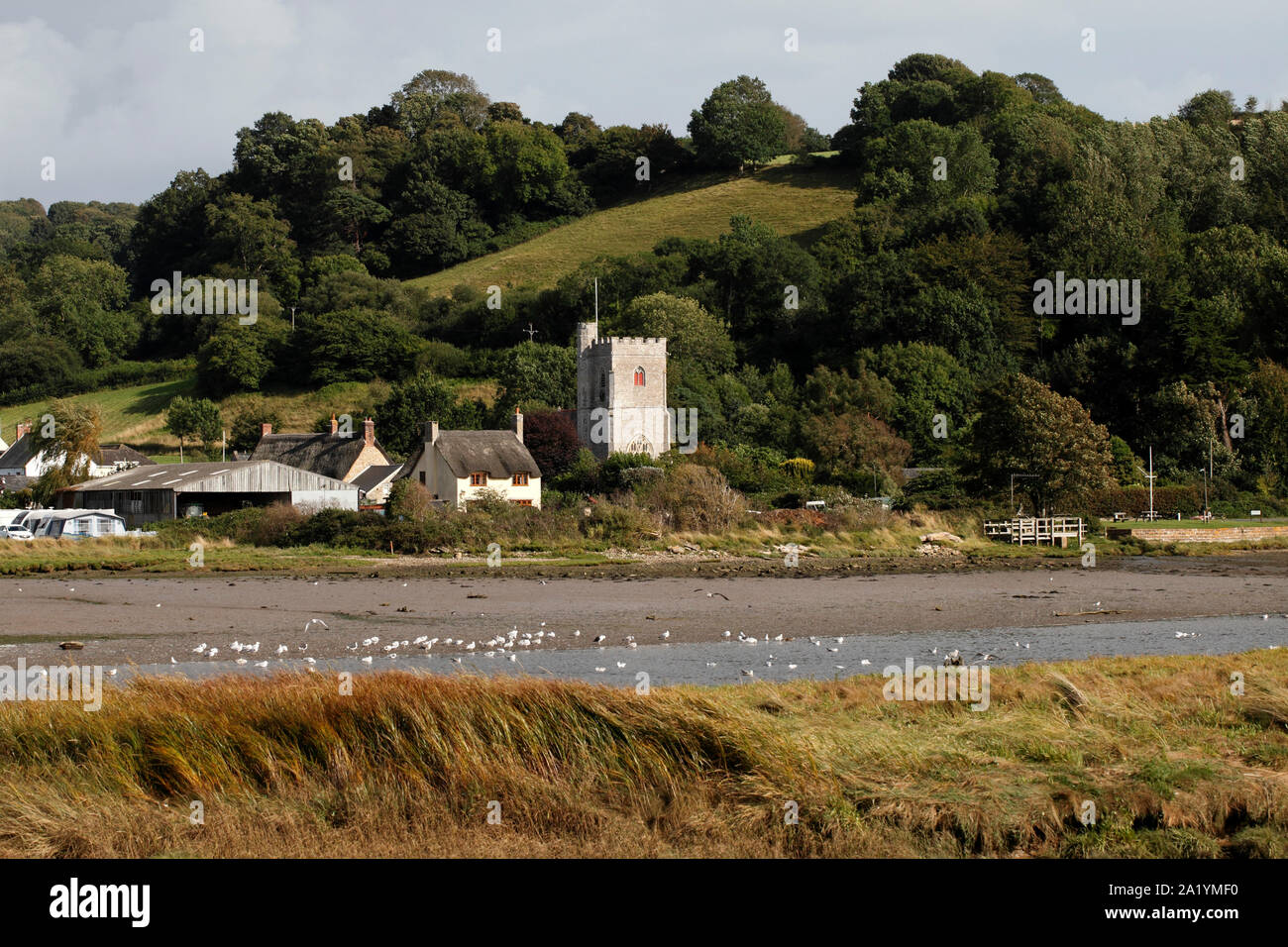 Axmouth across the River Ax from Colyford nature reserve, East Devon. UK Stock Photo