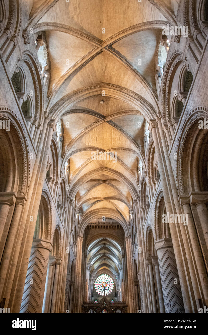 The Rib Vaulted Ceilings Within Durham Cathedral Durham United