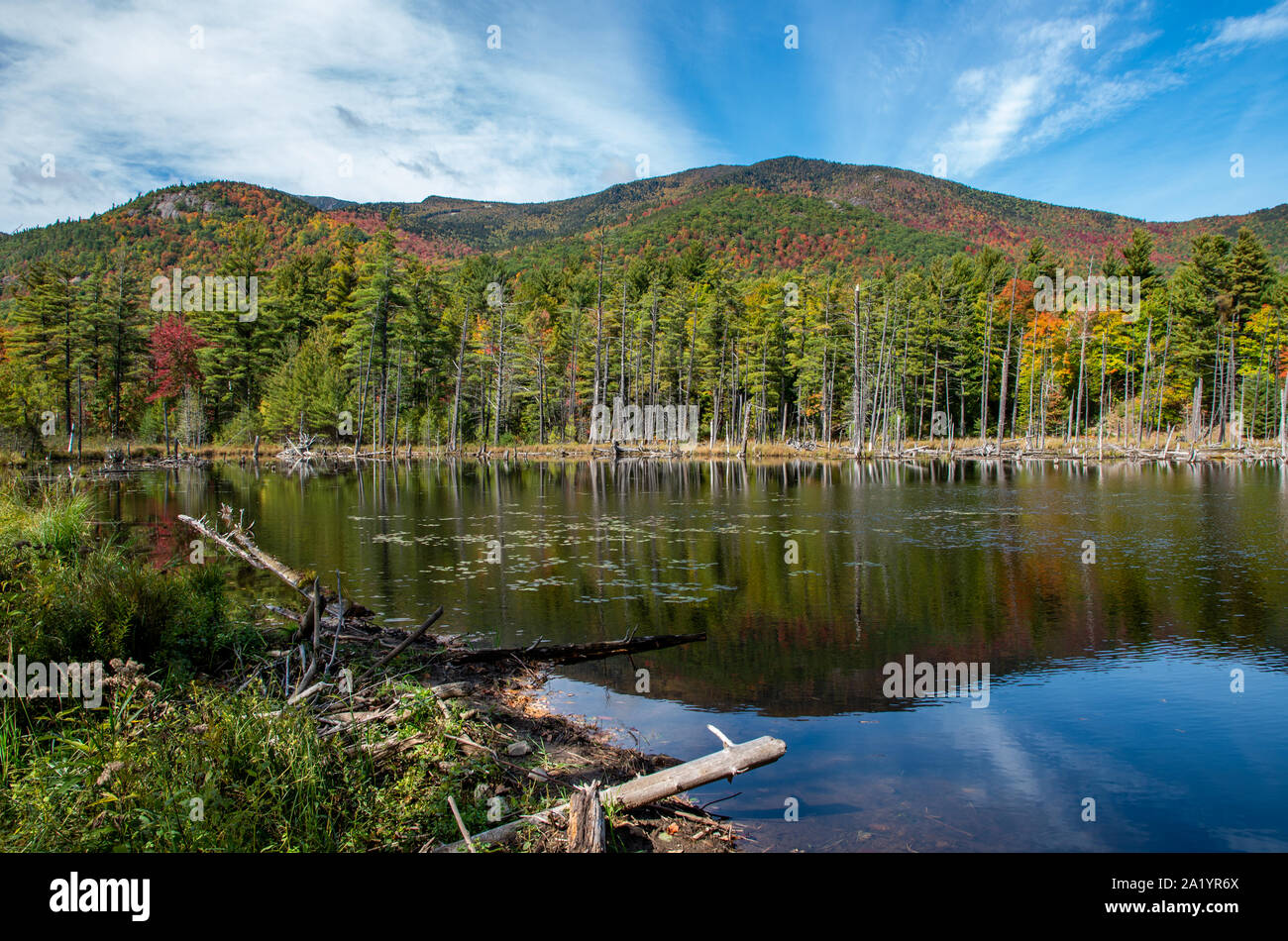 Fall foliage in the Adirondack Mountains near Lake Placid Stock Photo