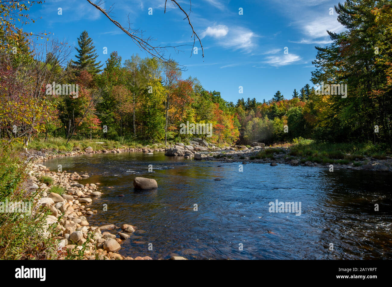 Fall foliage in the Adirondack Mountains along the Wilmington flume trail Stock Photo