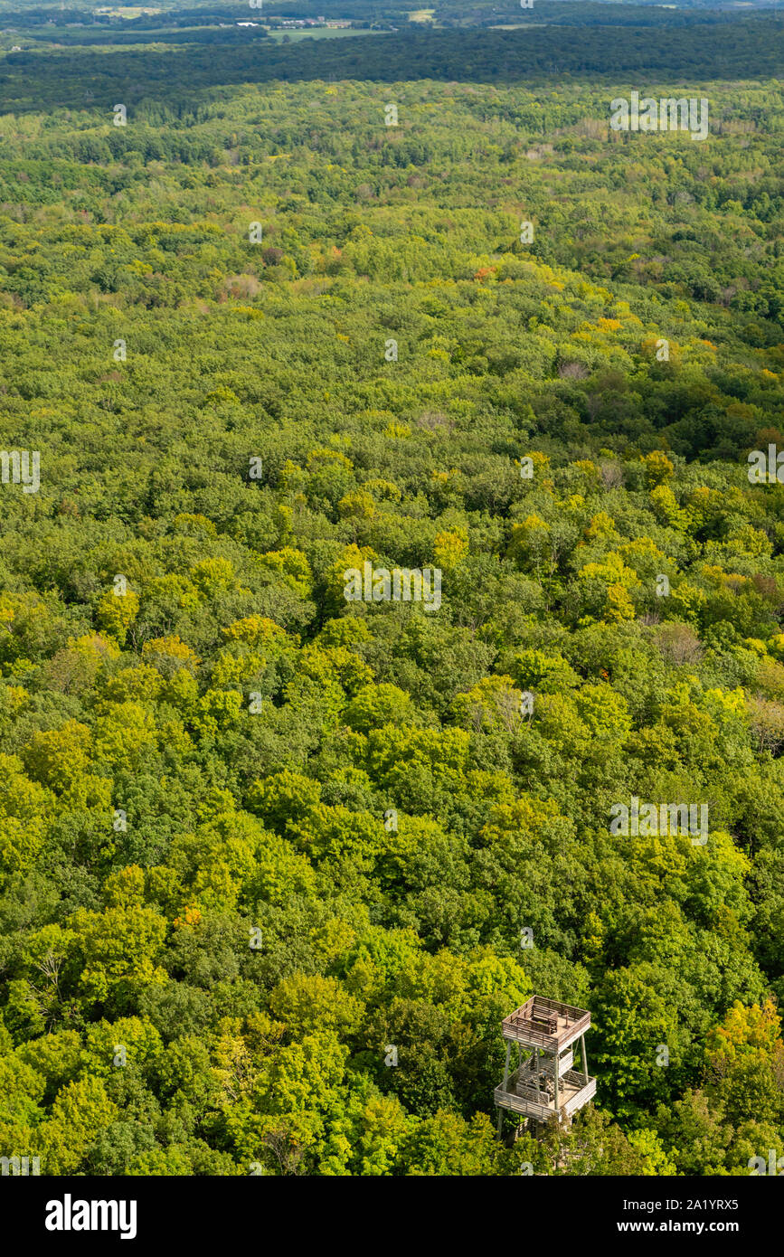 Are Dogs Allowed At Parnell Tower