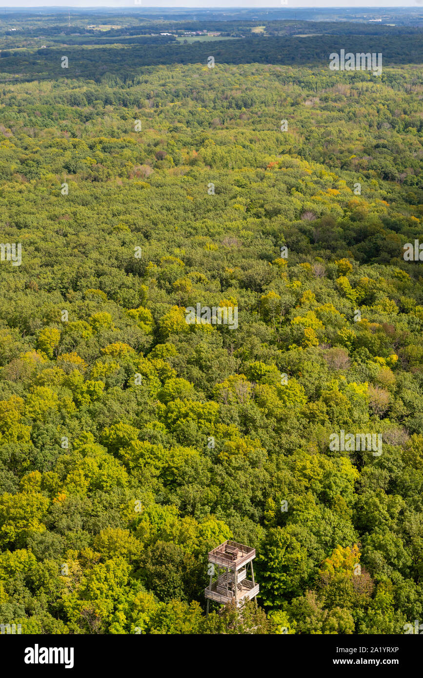 Are Dogs Allowed At Parnell Tower