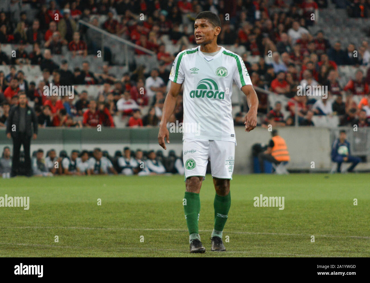 Brazilian Football League Serie A - Brasileirao Assai 2019 / ( Associacao  Chapecoense de Futebol ) - Marcio Rodrigues Araujo Stock Photo - Alamy