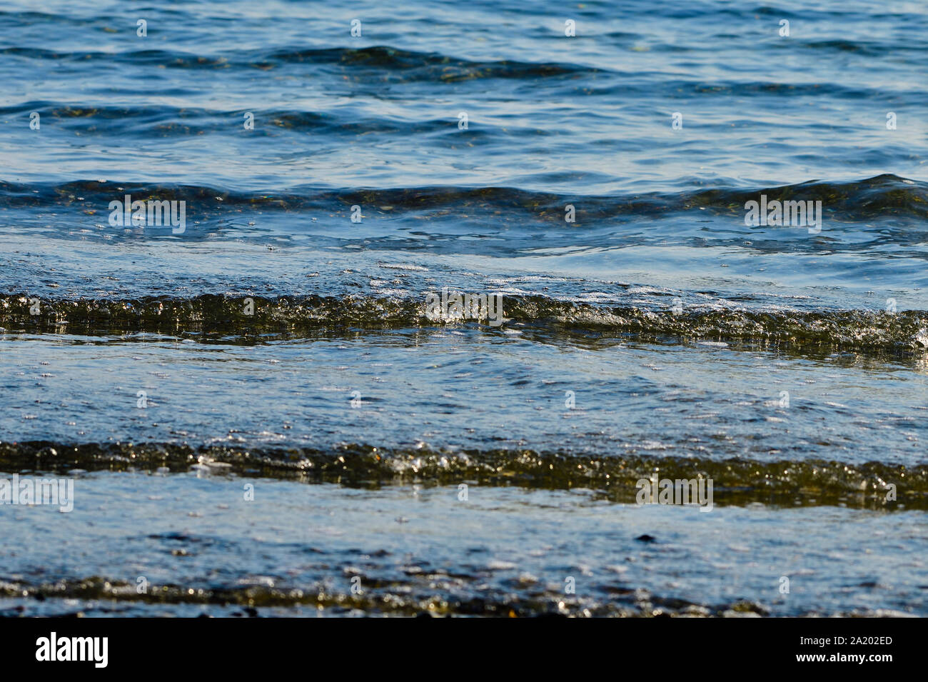 A seascape of waves rushing in to the shore as the tide changes on the shores of Vancouver Island British Columbia Canada. Stock Photo