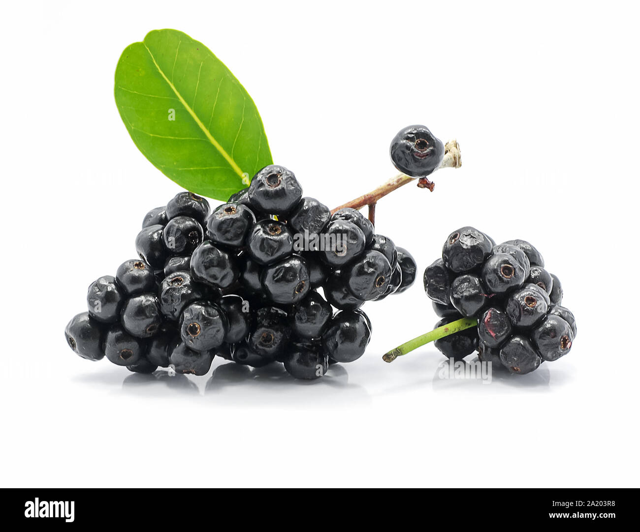 Jambolan plum isolated on white background Stock Photo