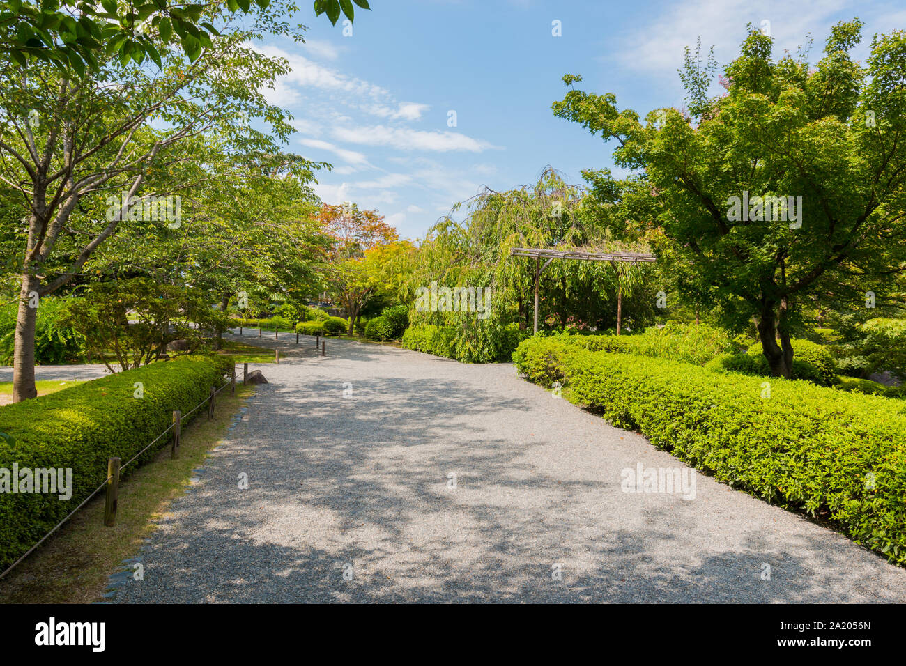 Beautiful garden in daytime outdoor nature background. evergreen ...