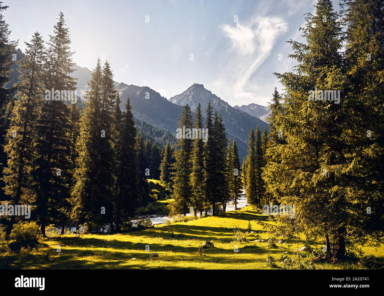 Landscape of river and mountain valley with spruce trees and snowy peak in Karakol national park, Kyrgyzstan Stock Photo