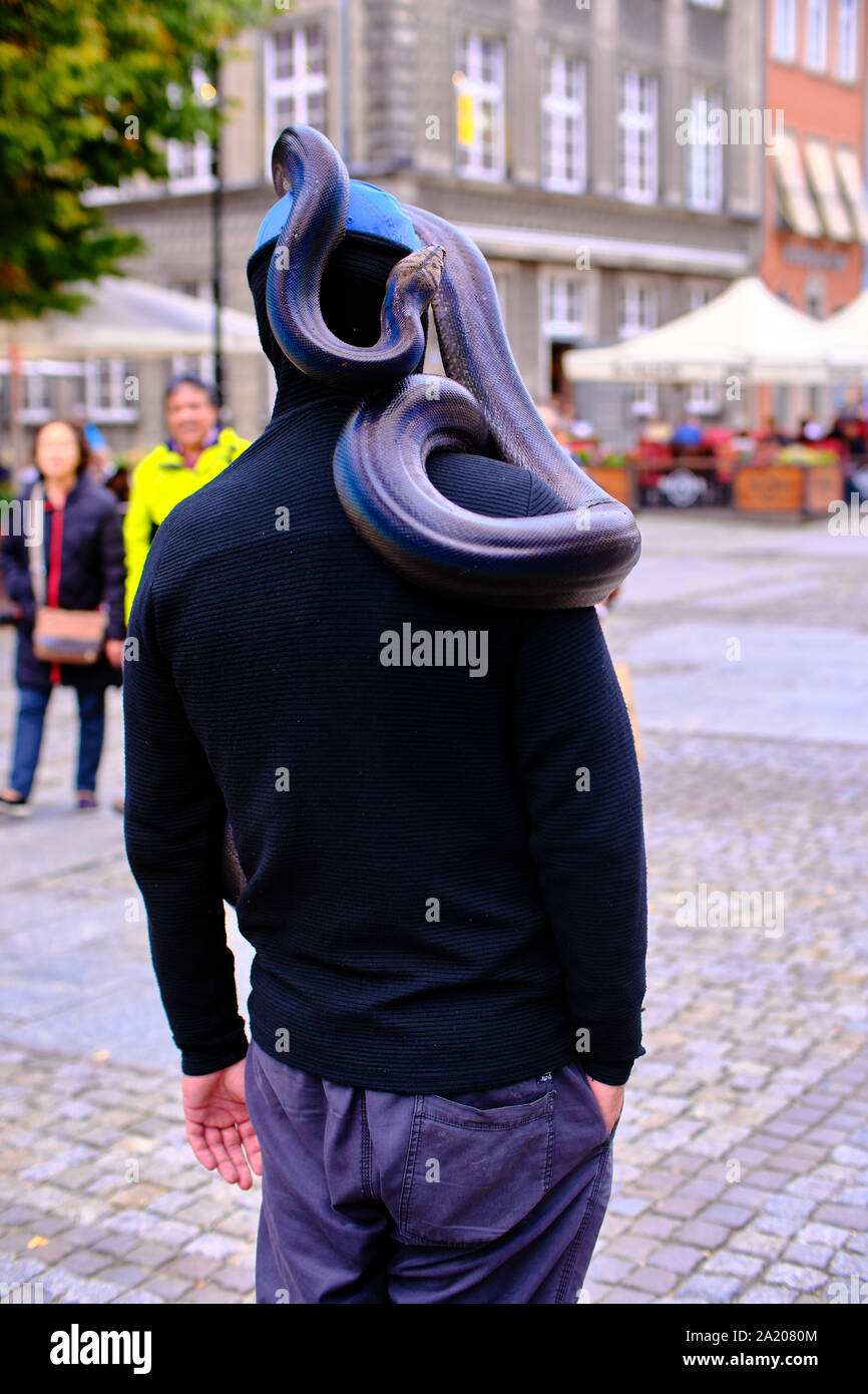 man with python snake - Impressions from Gdańsk (Danzig in German) a ...