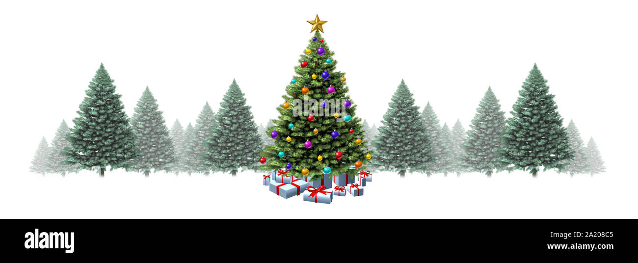 Christmas tree horizontal border with pine trees on a white background as a festive evergreen forest with presents and decorations. Stock Photo