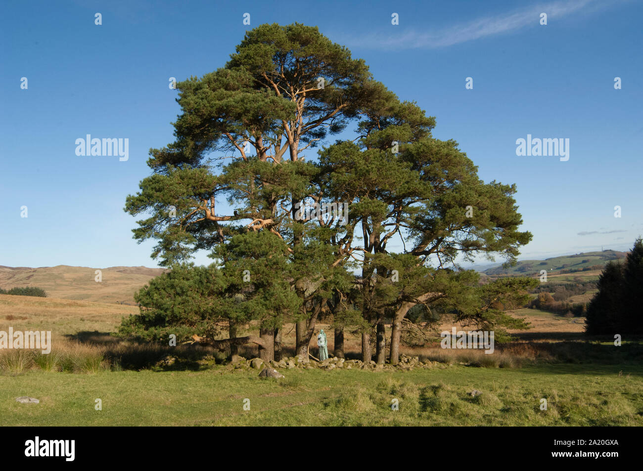 Visitation, The Madonna, Glenkiln Statues, Glenkiln, Dumfries and Galloway Stock Photo