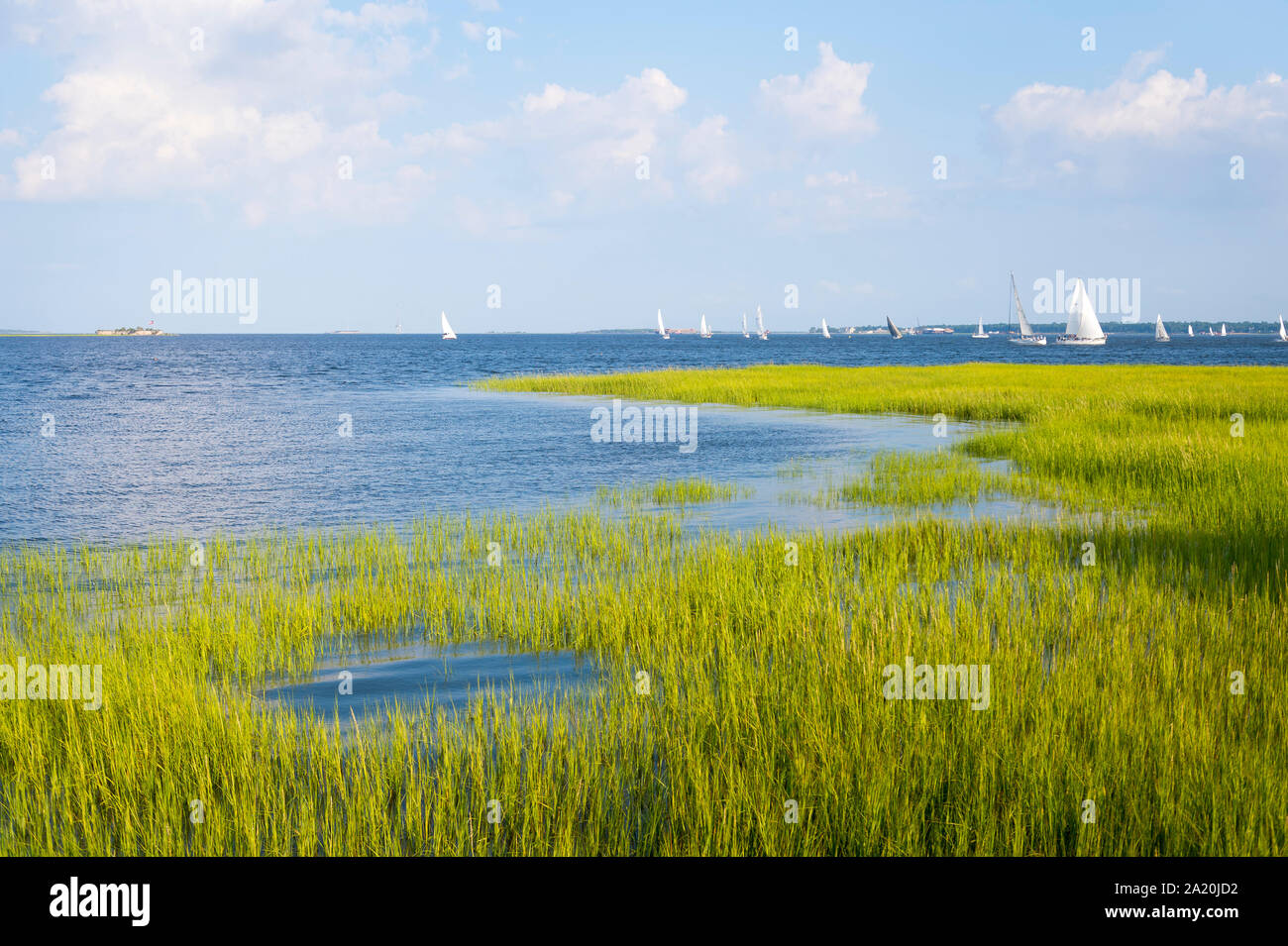 Scenic summer view of the tidal Cooper River running into a harbor lined with green lowcountry marsh grasses in Charleston, South Carolina, USA Stock Photo