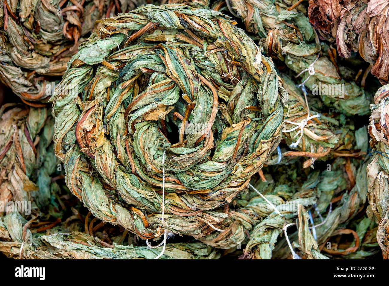 Braided dried sorrel (Rumex acetosa) leaves on display Stock Photo