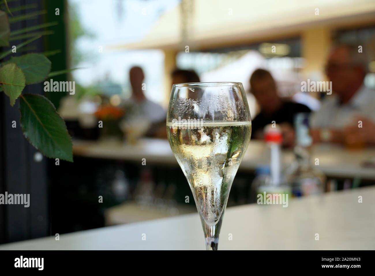 Closeup of a glass filled with prosecco with blurred people in the bacground Stock Photo