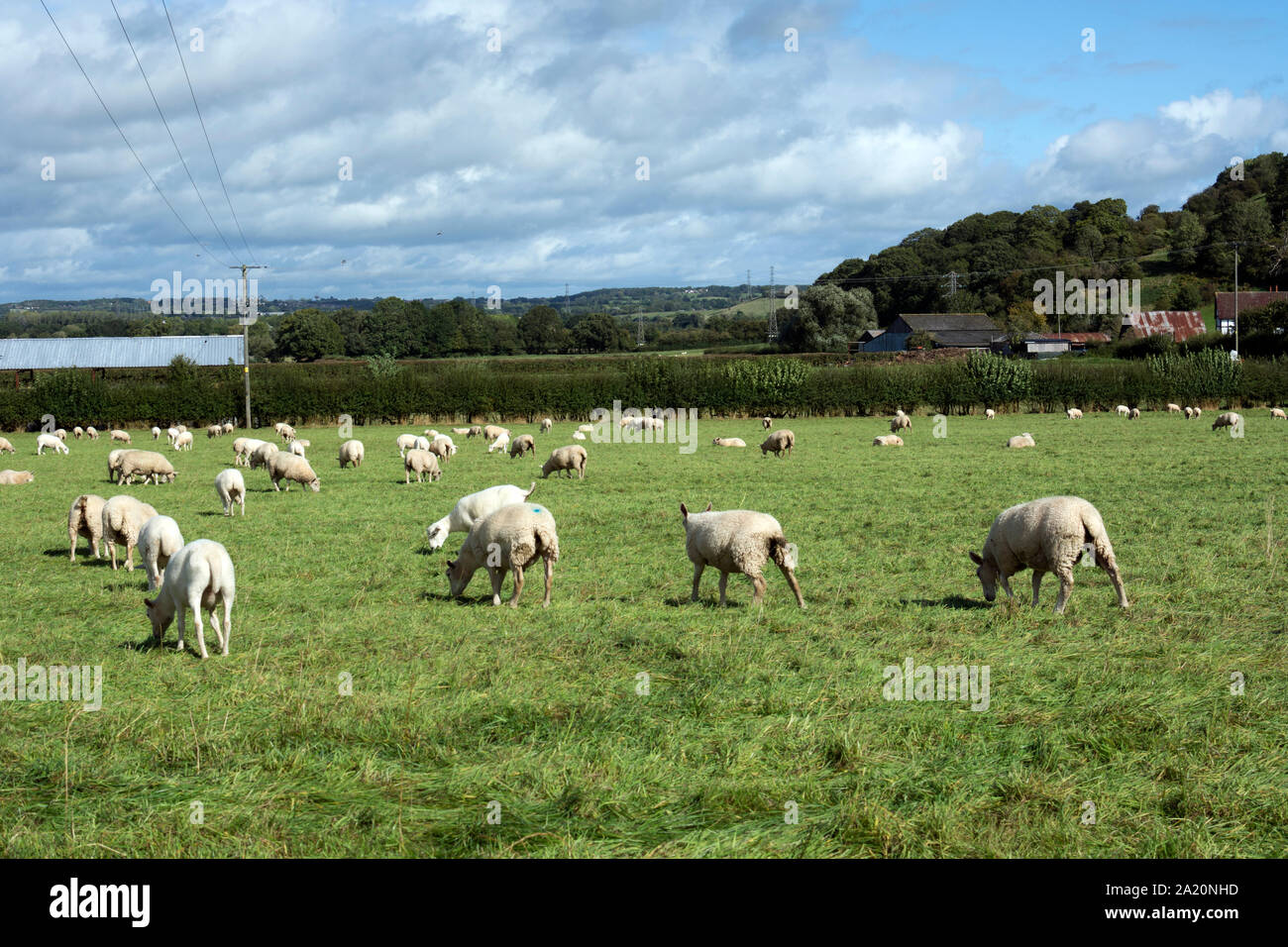 Farm landscape near Morton Underhill, Worcestershire, England, UK Stock Photo