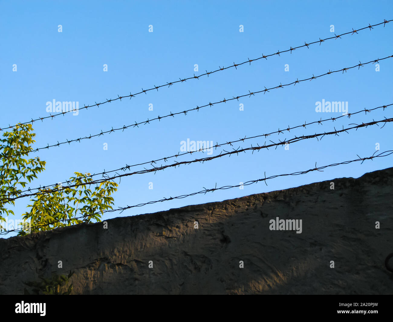 Several lines of handicraft old rusty barbed wire stretched over an old concrete fence against a clear blue sky and green shrub Stock Photo