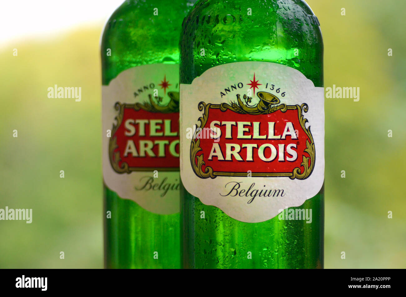 KHARKOV, UKRAINE AUGUST 22, 2019 Bottles of Stella Artois beer on
