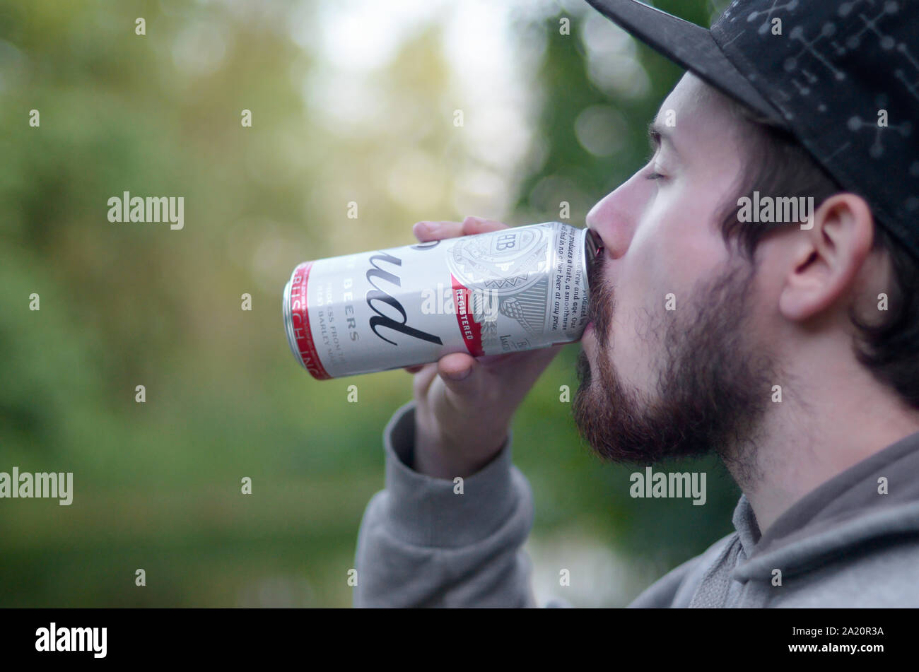Young bearded man drinks Budweiser Bud 