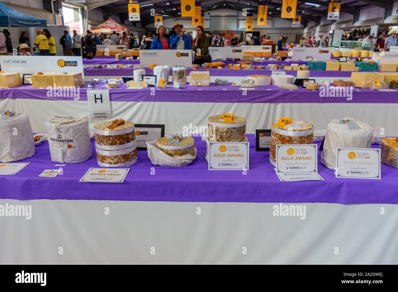 A table with a row of cheeses, displayed after judging, with awards and certificates displayed in the cheese hall at Frome Cheese show 2019 Stock Photo