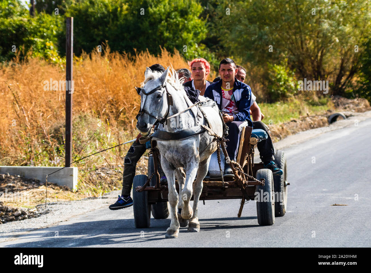 Family on Horse Pulled Cart in Cordoba City, Argentina Editorial Stock  Photo - Image of neighborhood, family: 192831243