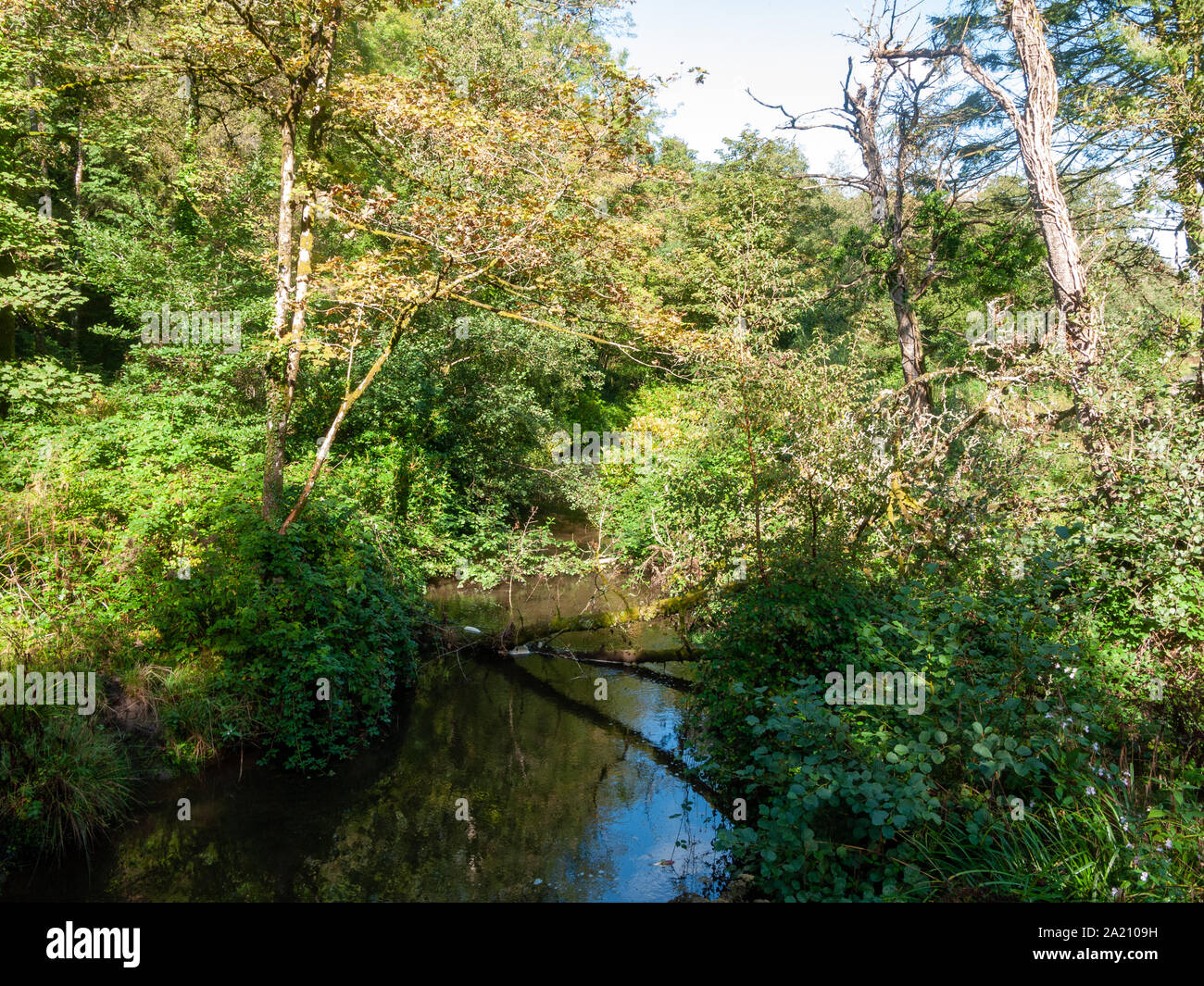 Penllergare Waterfalls High Resolution Stock Photography And Images Alamy Penllergare Waterfalls High Resolution Stock Photography And Images Alamy