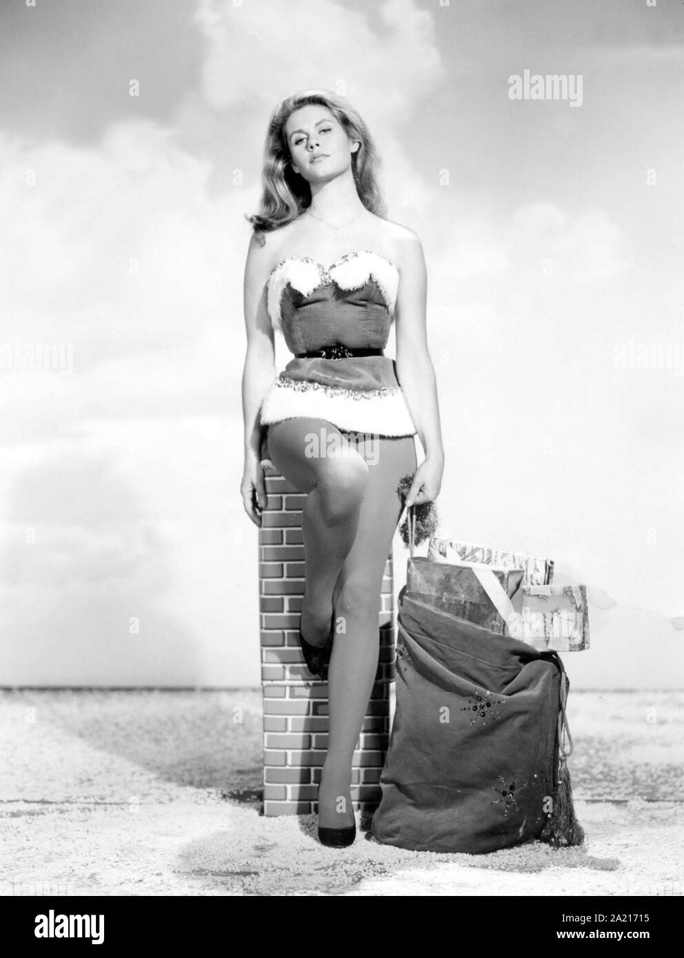 ELIZABETH MONTGOMERY in BEWITCHED (1964). Credit: COLUMBIA PICTURES / Album Stock Photo