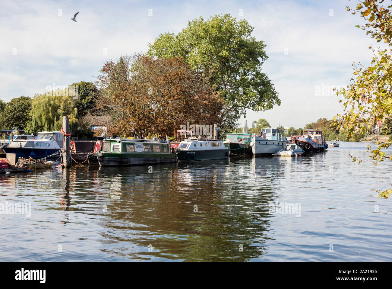 Narrow boat and houseboat moorings on the River Thames by Teddington
