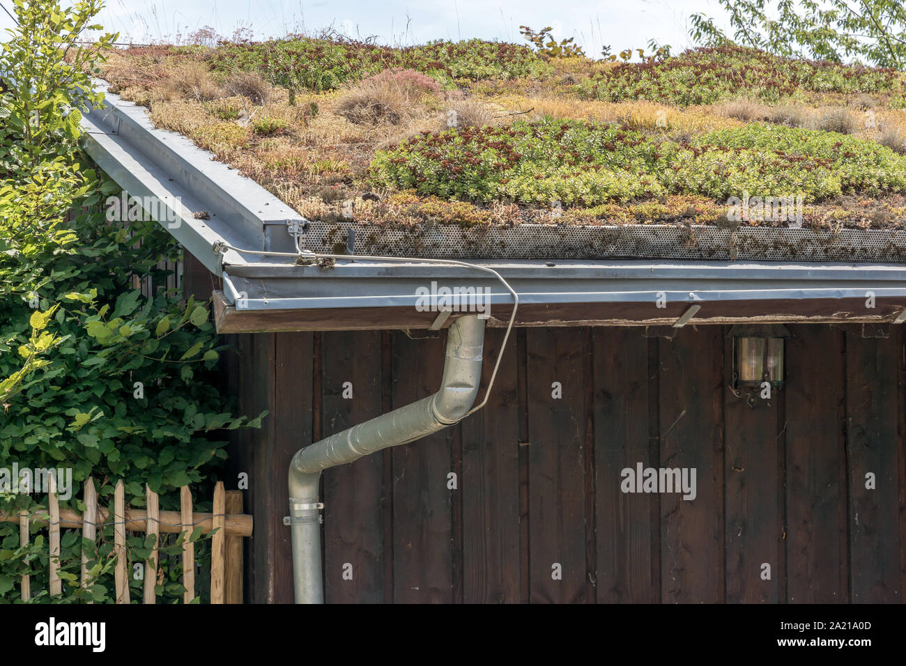 Green roof on an ecologically built farmhouse Stock Photo