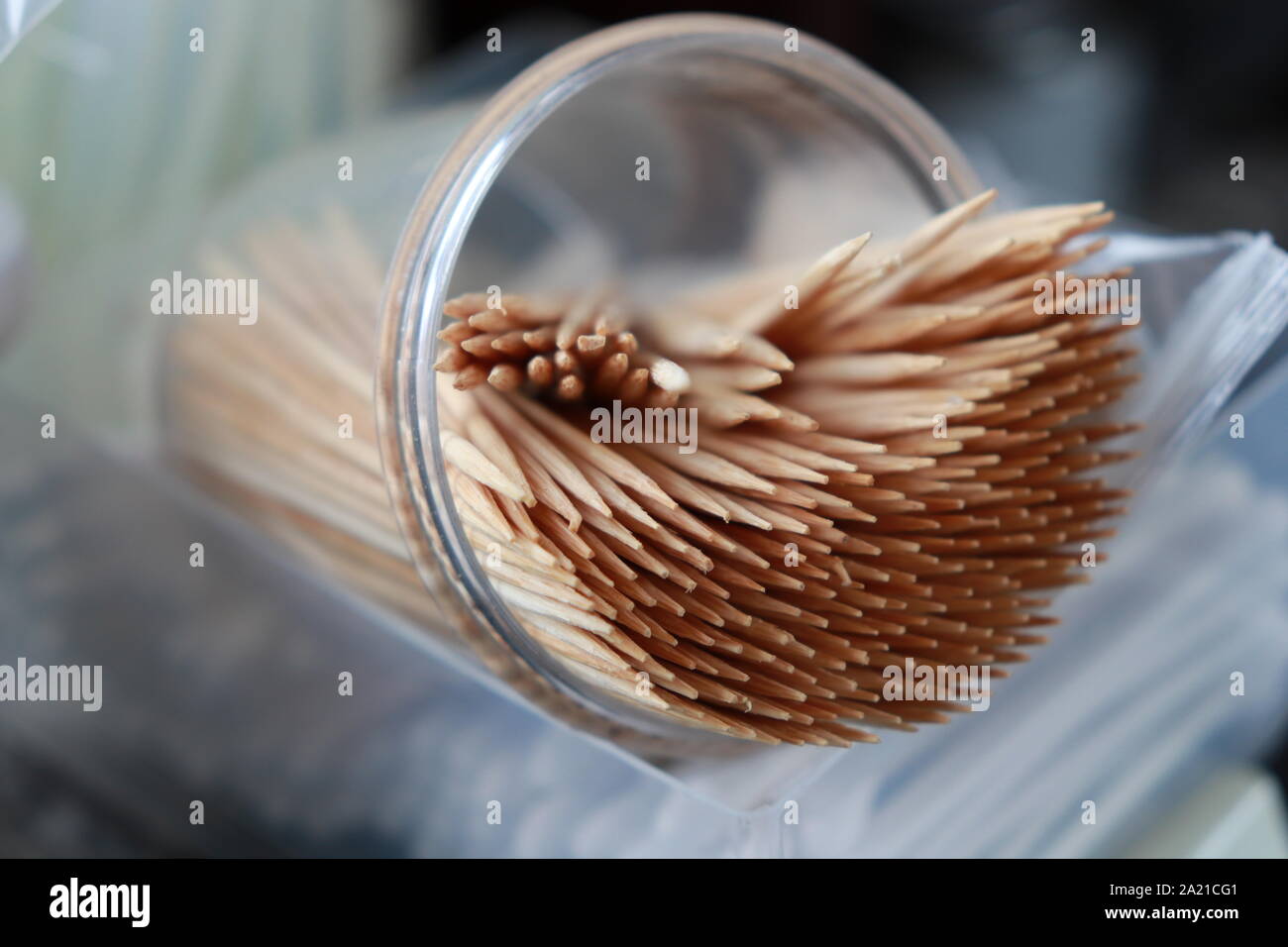 plastic toothpicks with angled tip