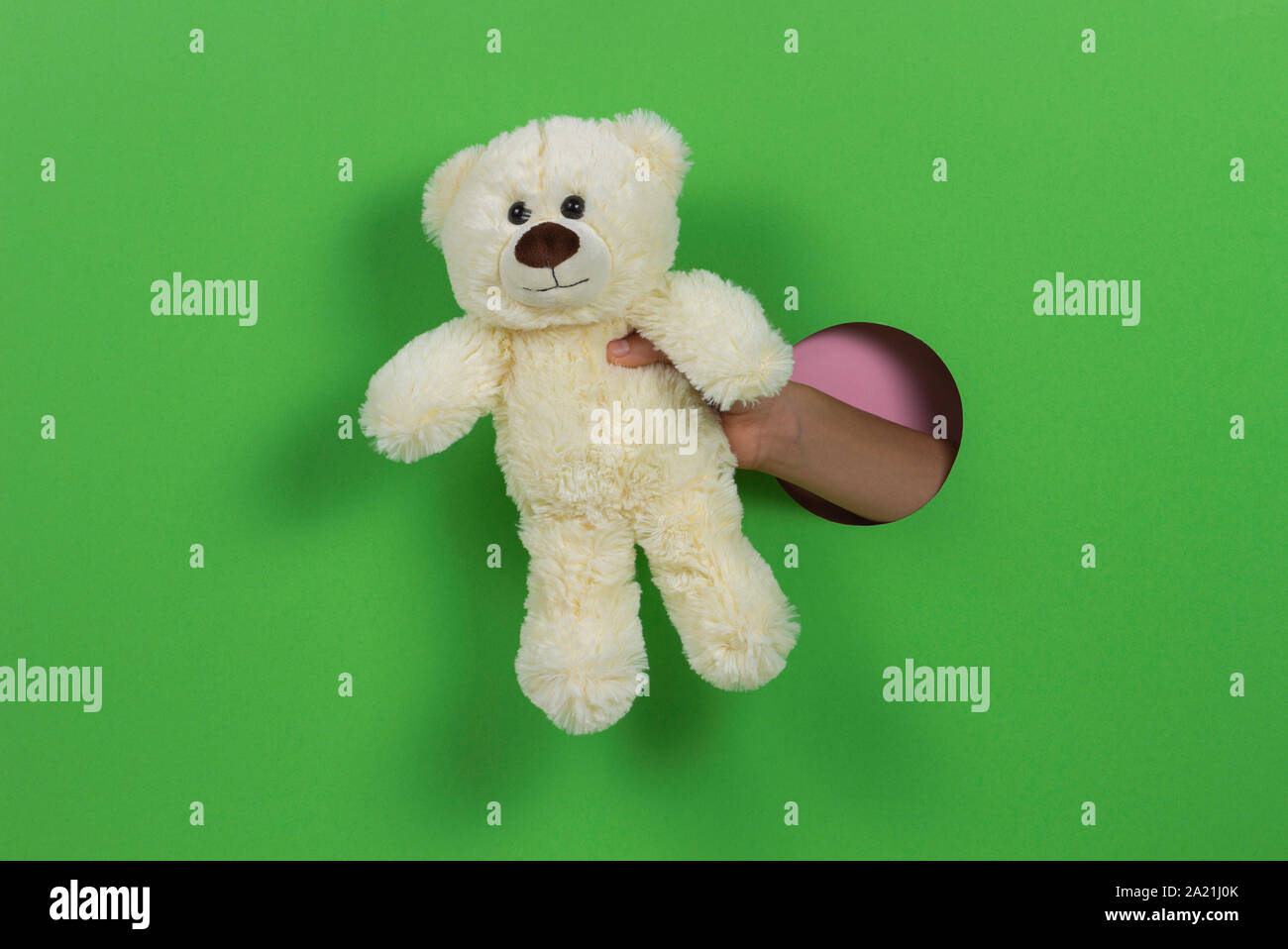 Kid holding white toy teddy bear in hand through hole on light green background Stock Photo
