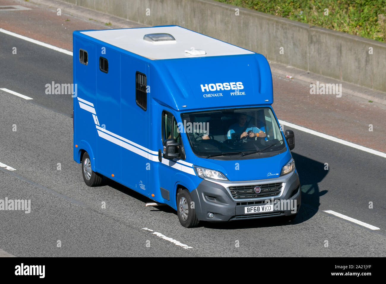 2018 blue Fiat Ducato 35 Multijet II S-A; Commercial vehicles, Equine  animal transport on the M6 at Lancaster. UK Stock Photo - Alamy