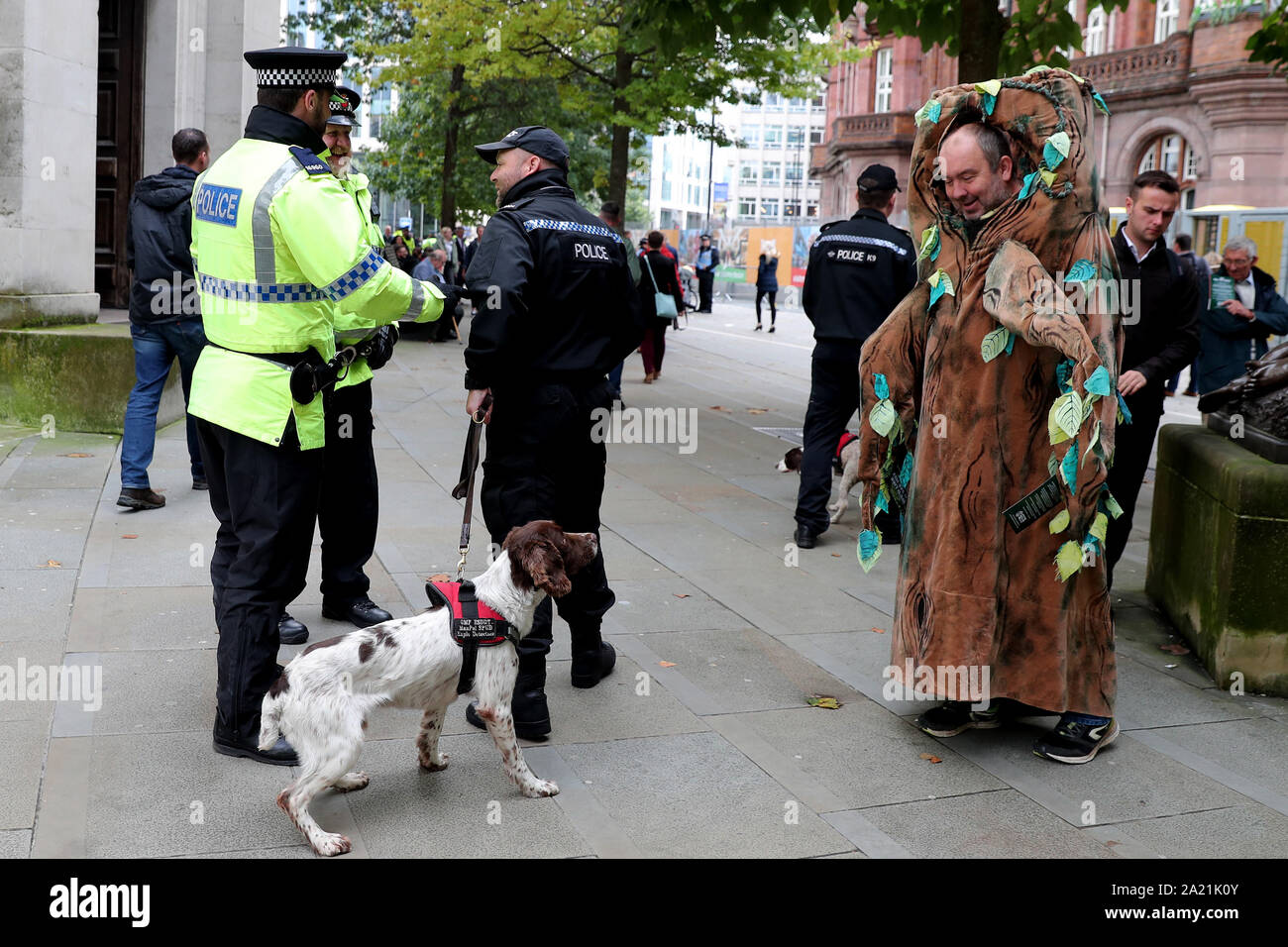 dog tree costume