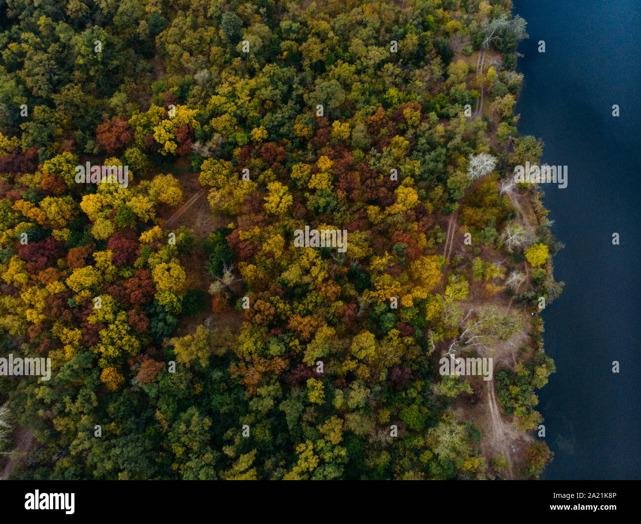 Drone forest survey hi-res stock photography and images - Alamy