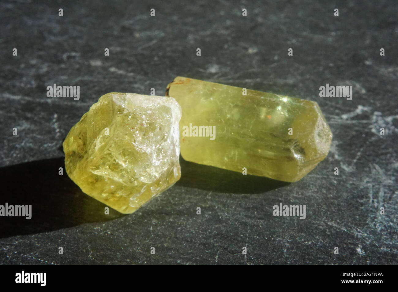Group of yellow-green apatite crystals on gray slate background Stock Photo