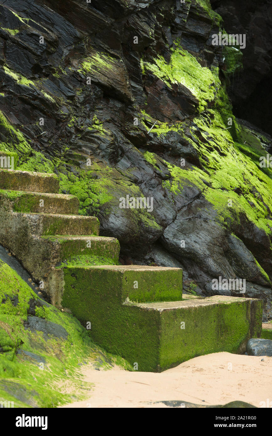 Moss covered steps down to the beach of Bedruthan Steps, near Newquay, Cornwall, England, Great Britain Stock Photo
