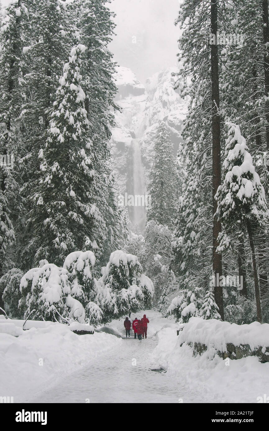 Three people in red walking towards Bridalveil Fall in Yosemite National Park in winter. Stock Photo