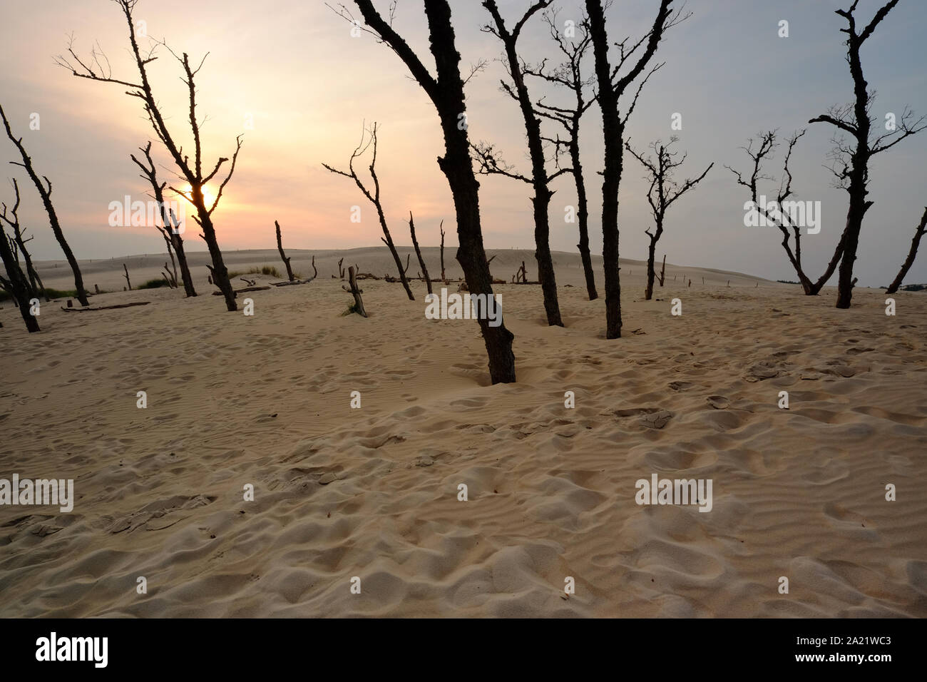 Slowinski National Park, moving dunes, Leba, Poland Stock Photo - Alamy