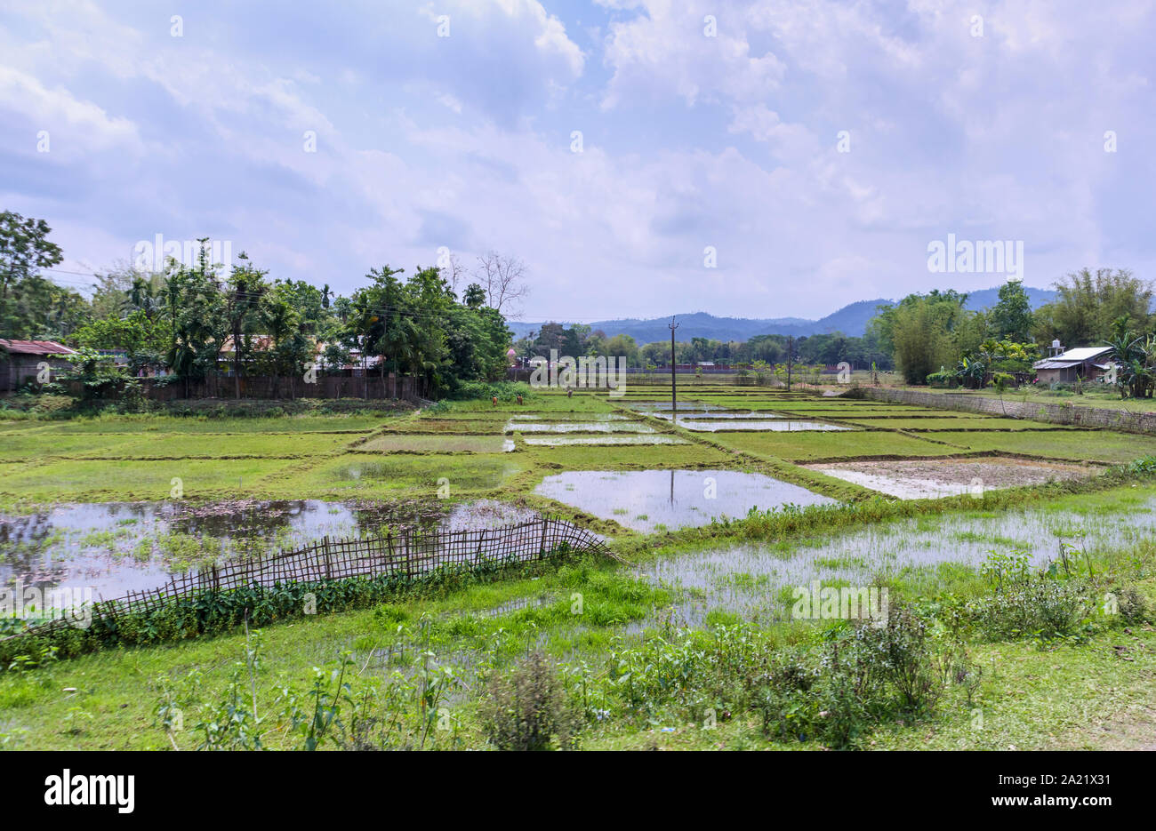 Traditional indian farming methods hires stock photography and images
