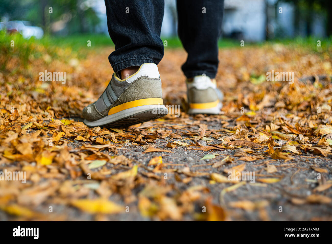 Walk on pavement in Autumn. Back view on the feet of a man walking