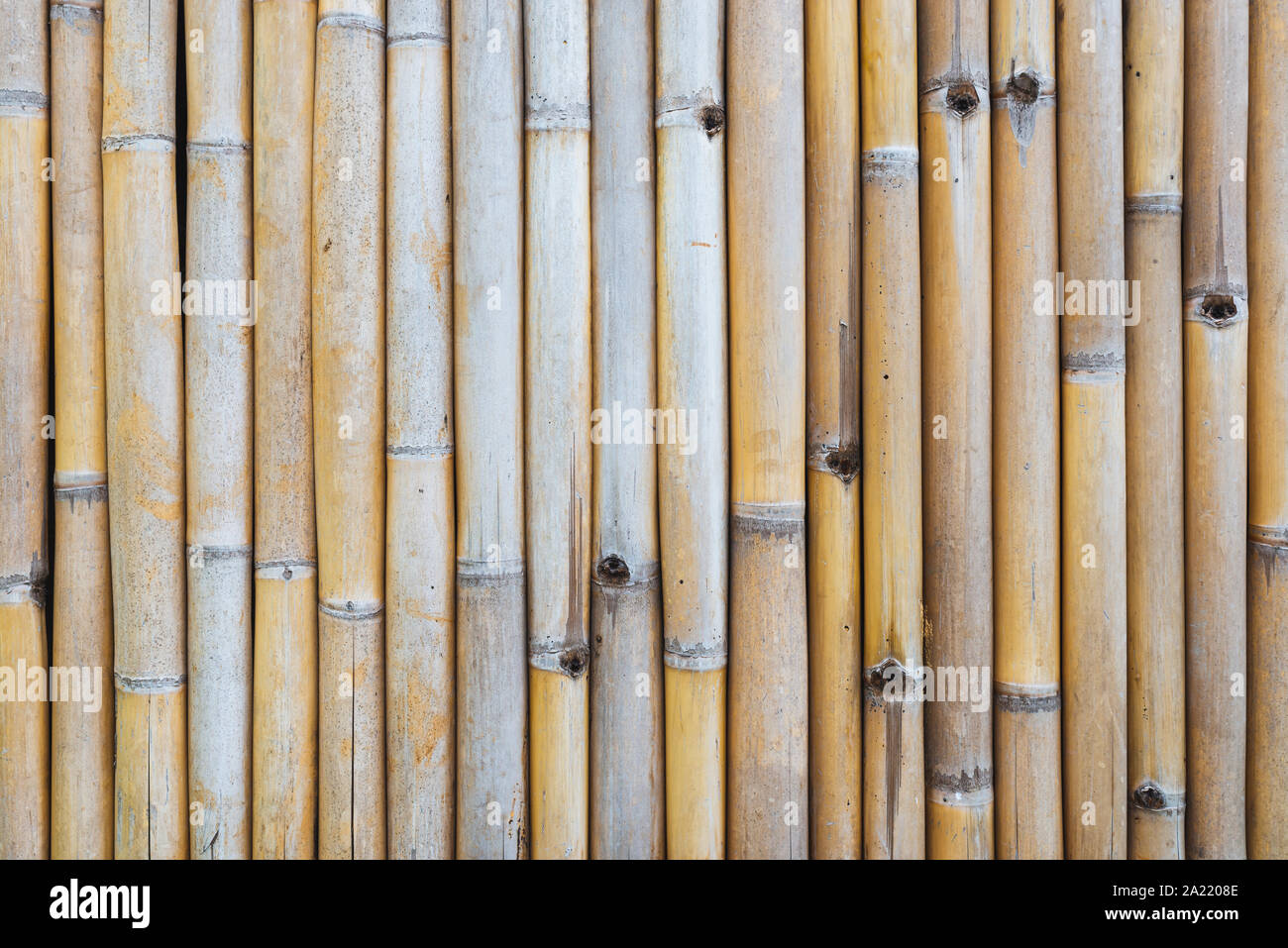 Bamboo fence texture Stock Photo