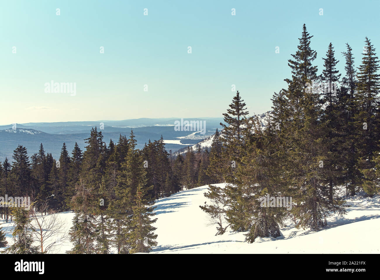 scenic winter landscape in the forest with mountains and fir trees ...