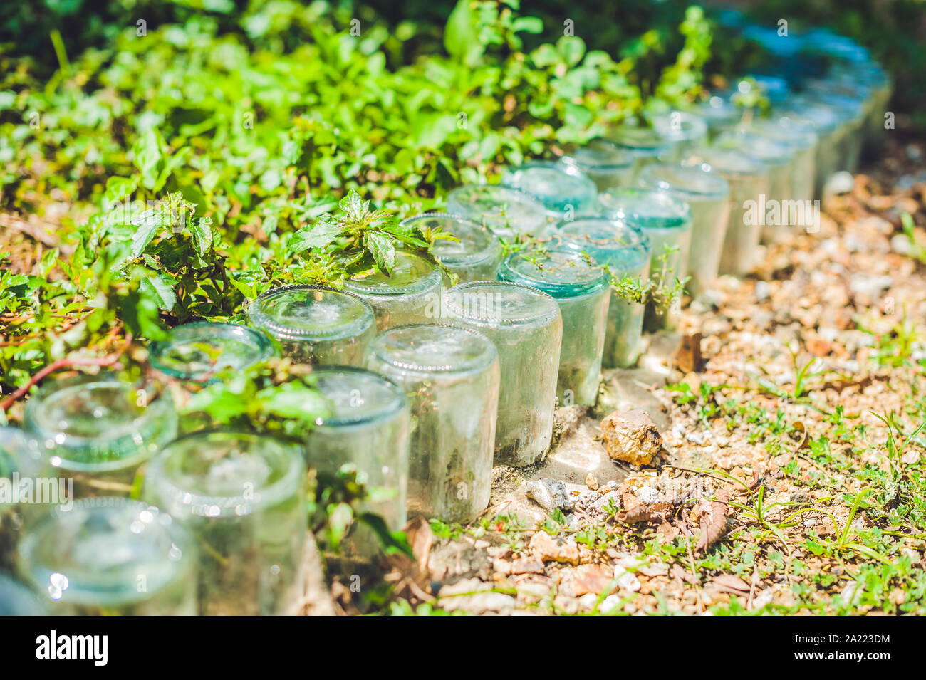 A fence made of glass jars. Stock Photo