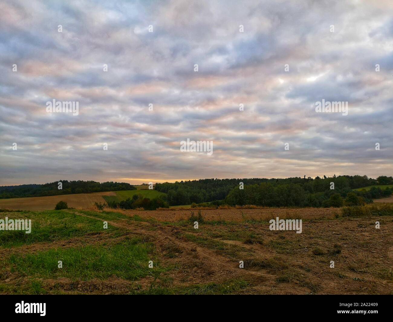 Country road at sunset leading between fields and forests Stock Photo