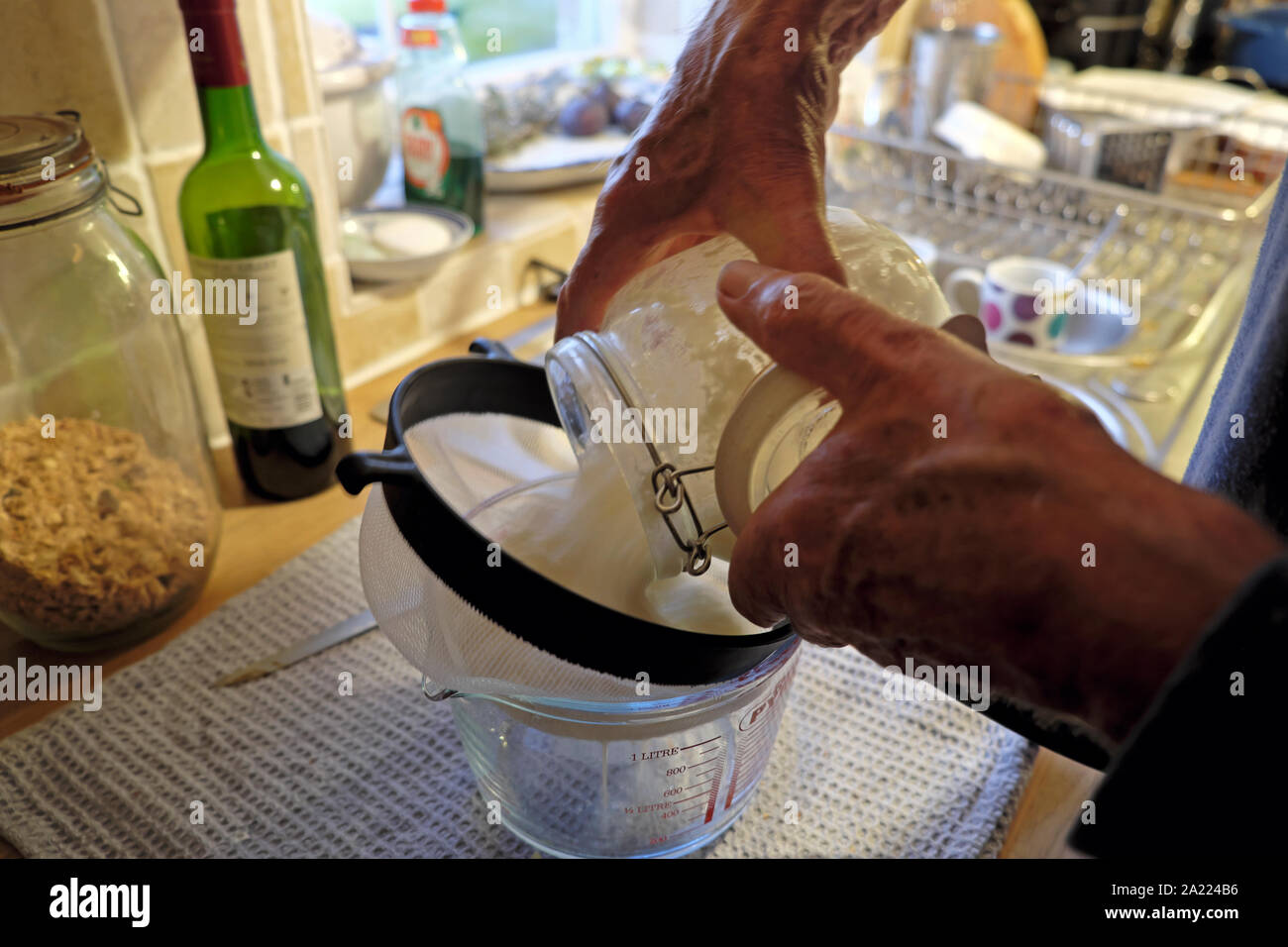 A person making kefir a homemade organic probiotic product by fermentation with whole milk in a kilner jar in a kitchen at home Wales UK KATHY DEWITT Stock Photo