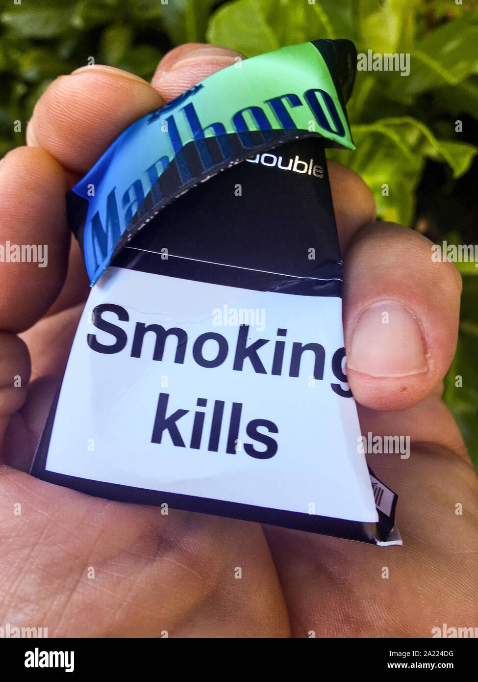 bali tobacco prices Djarum Filtered Clove Cigars Bali-Hai bali tobacco prices Djarum Filtered Clove Cigars Bali-Hai