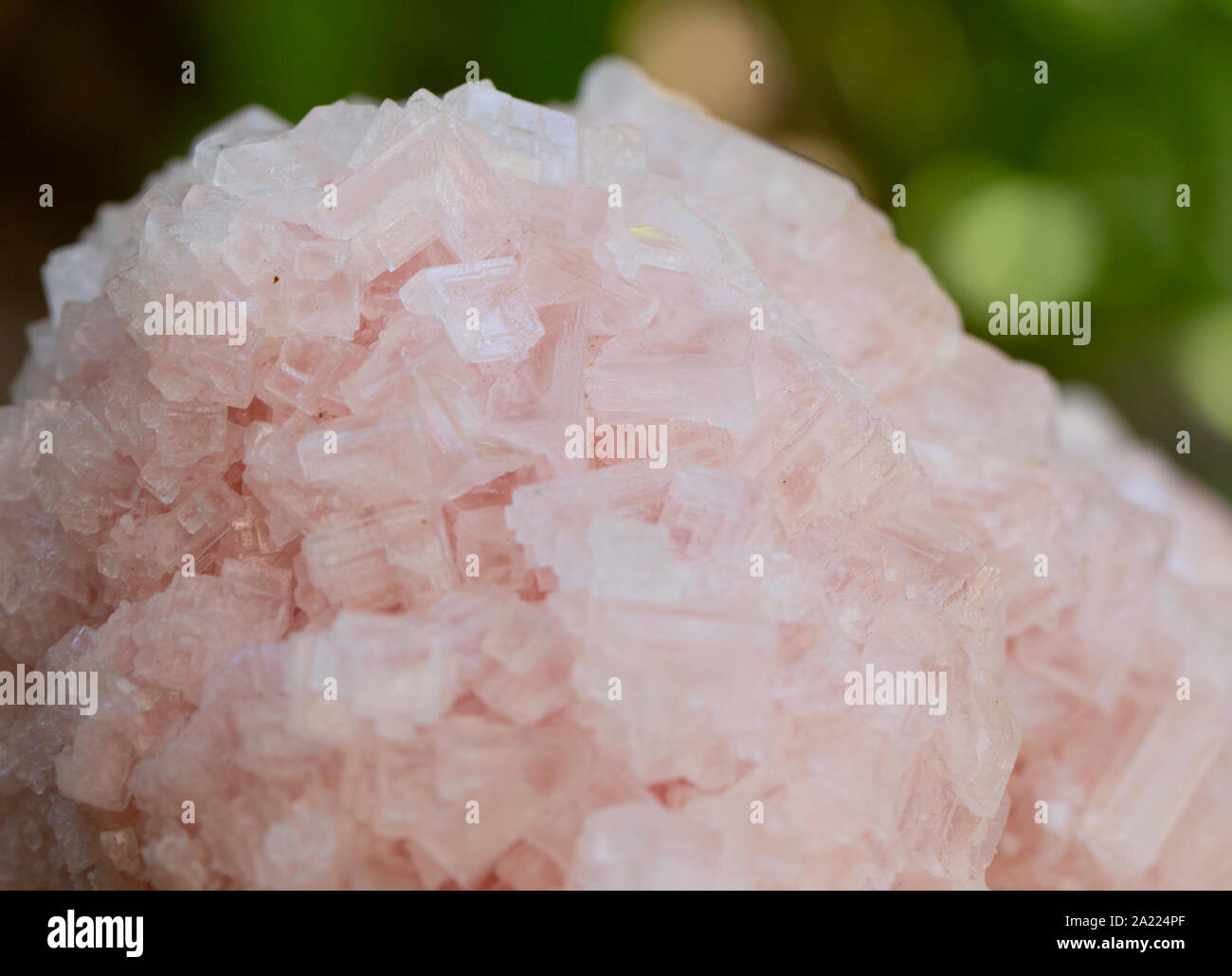 Phlogopite hi-res stock photography and images - Alamy