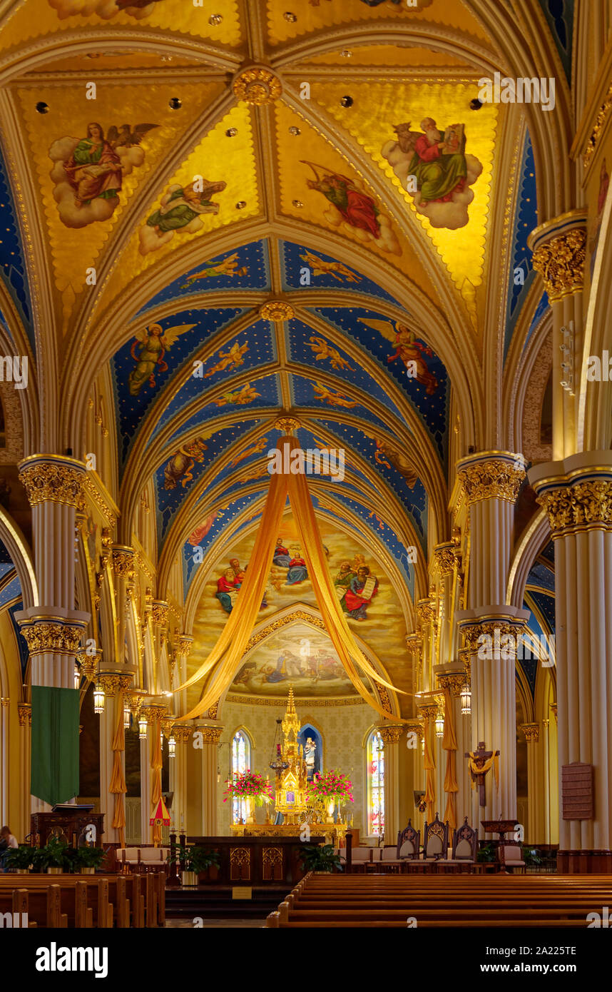Basilica Of The Sacred Heart Interior Gothic Inspired
