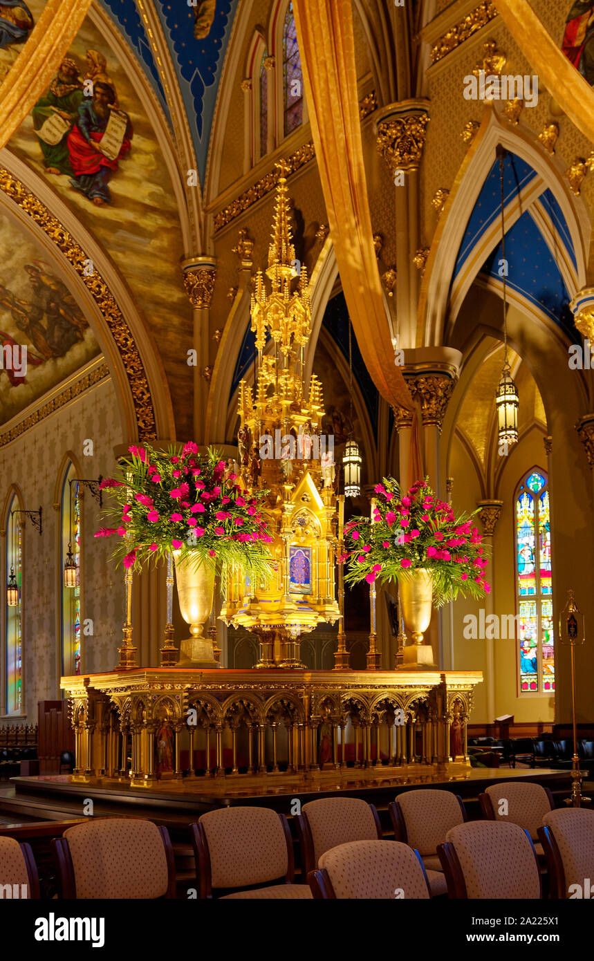 Painted Ceiling Church Notre Dame Stock Photos Painted